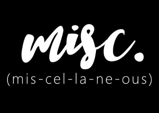 Miscellaneous item(s) or Services - ALL ELEMENTS LLC